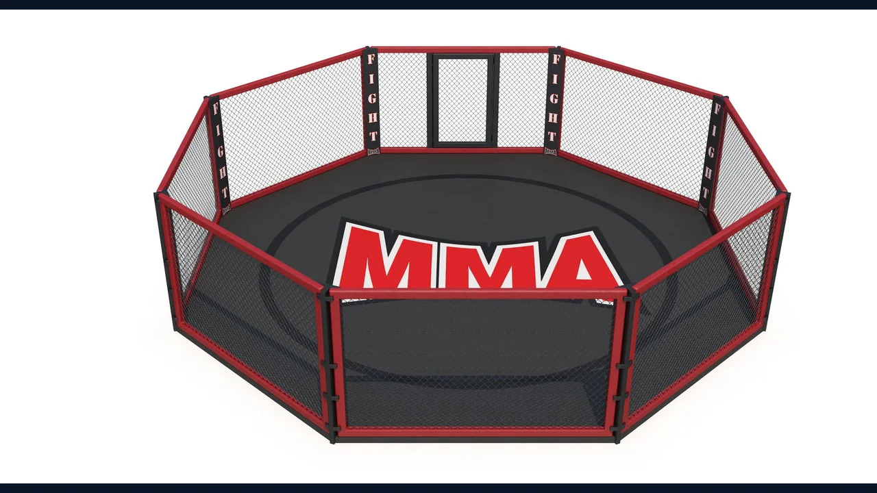 Illustration of an empty MMA octagon cage
